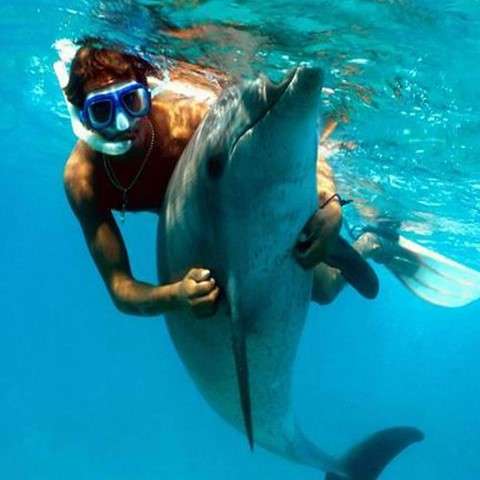 Swim with dolphins in cancun, mexico